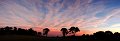 contrail pano